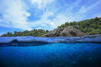 Snorkel en Isla del Caño, Pacífico Sur, Costa Rica